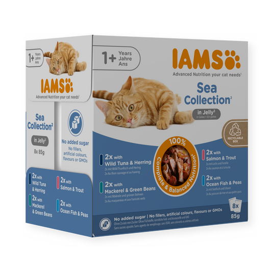 IAMS Delights Sea Collection natvoer in gelei voor volwassen katten